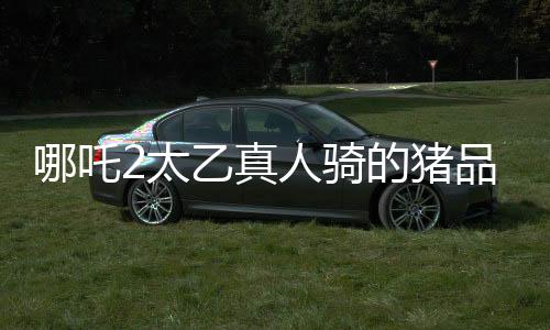 哪吒2太乙真人騎的豬品種揭秘，神秘生物引發(fā)影迷熱議