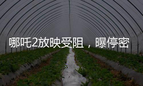 哪吒2放映受阻，曝停密鑰導(dǎo)致影院恐慌——解密風(fēng)波背后真相