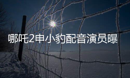 哪吒2申小豹配音演員曝光，新聲亮相備受矚目