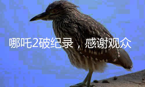 哪吒2破紀錄，感謝觀眾，一部神話造就的情感共鳴與視覺盛宴