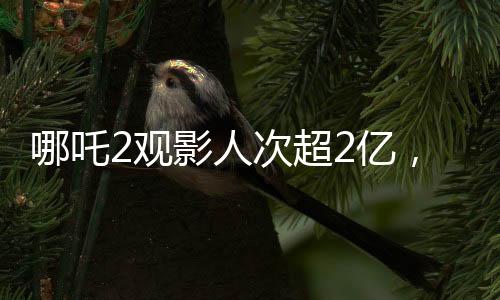 哪吒2觀影人次超2億，刷新票房紀(jì)錄，成為暑期檔熱門話題
