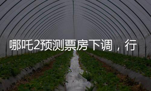哪吒2預(yù)測票房下調(diào)，行業(yè)觀察與市場分析