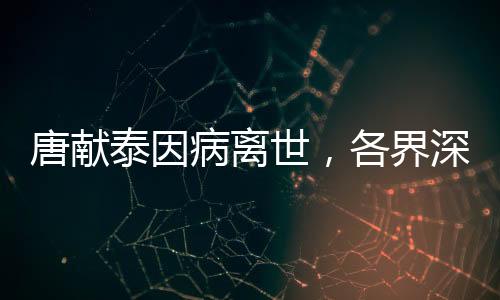 唐獻(xiàn)泰因病離世，各界深切緬懷