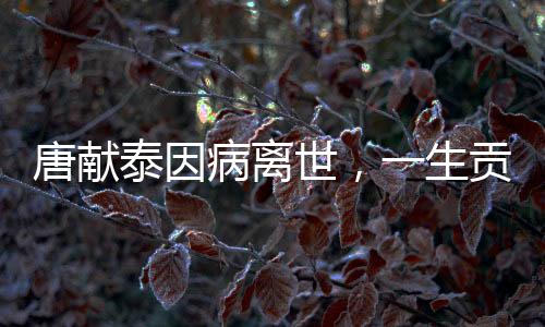 唐獻(xiàn)泰因病離世，一生貢獻(xiàn)備受敬仰