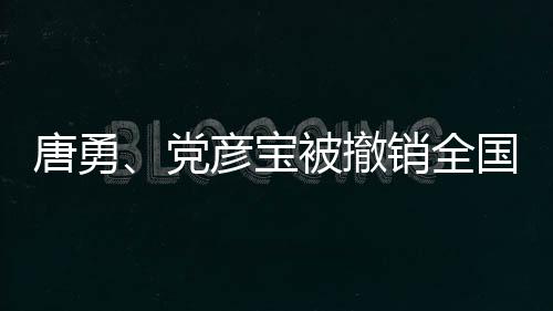 唐勇、黨彥寶被撤銷全國(guó)政協(xié)委員資格，事件深度解析