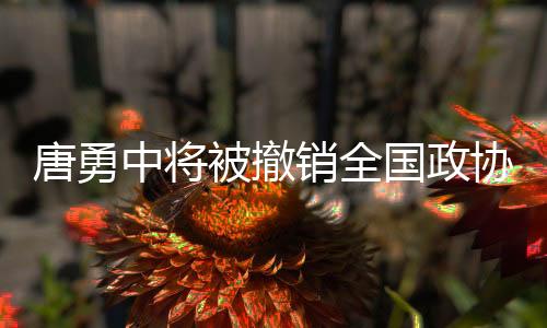 唐勇中將被撤銷(xiāo)全國(guó)政協(xié)委員資格事件分析