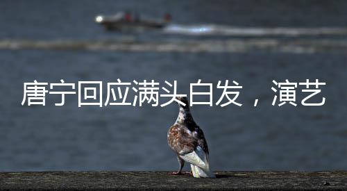 唐寧回應(yīng)滿頭白發(fā)，演藝界的銀發(fā)生魅現(xiàn)象探討