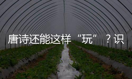 唐詩還能這樣“玩”？識字教育也可“詩意滿滿”！