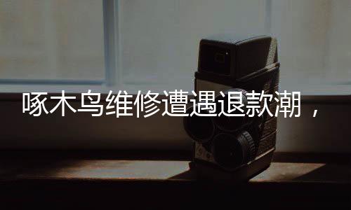 啄木鳥維修遭遇退款潮，透視服務(wù)質(zhì)量與消費者權(quán)益保護問題