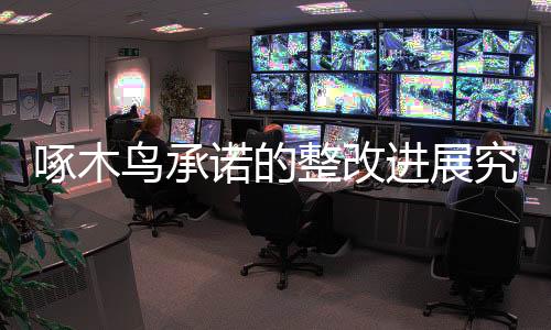 啄木鳥承諾的整改進展究竟如何？