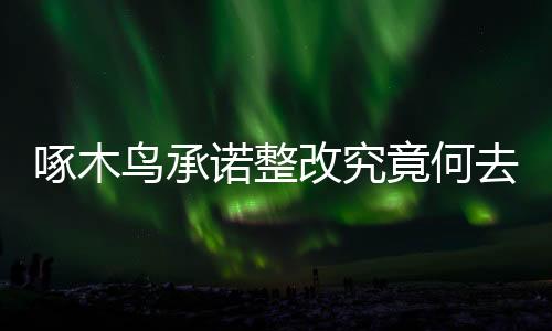 啄木鳥承諾整改究竟何去何從？揭秘背后的故事
