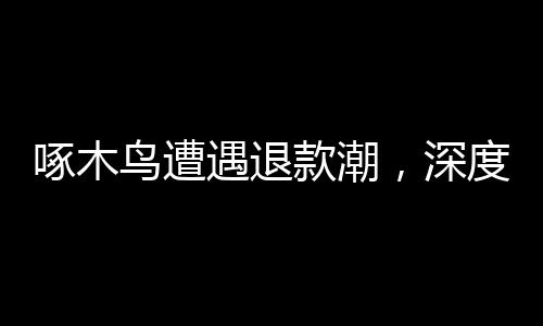 啄木鳥遭遇退款潮，深度探究背后的原因