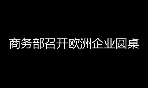 商務(wù)部召開(kāi)歐洲企業(yè)圓桌會(huì)