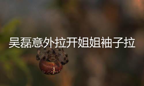 吳磊意外拉開姐姐袖子拉鏈，引發(fā)關(guān)注熱議