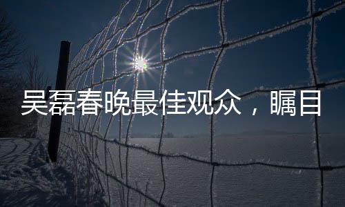 吳磊春晚最佳觀眾，矚目之處展現(xiàn)深度欣賞力
