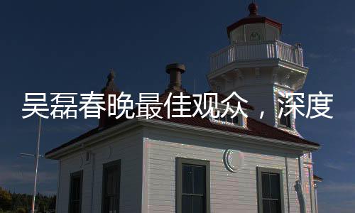 吳磊春晚最佳觀眾，深度解讀與精彩瞬間回顧