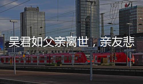 吳君如父親離世，親友悲痛悼念