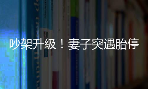 吵架升級！妻子突遇胎停丈夫痛心崩潰，家庭面臨嚴(yán)峻考驗(yàn)