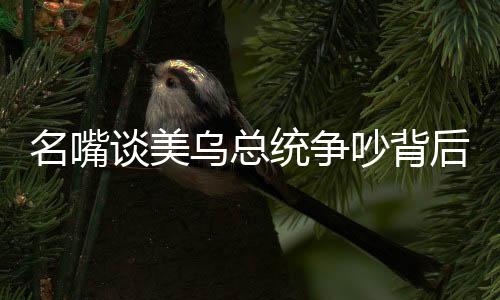 名嘴談美烏總統(tǒng)爭吵背后的深層含義，弱國無外交之道