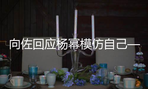 向佐回應(yīng)楊冪模仿自己——引發(fā)關(guān)注與熱議