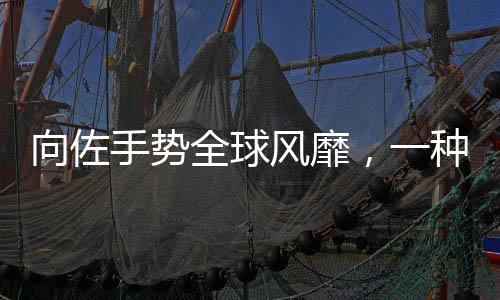 向佐手勢(shì)全球風(fēng)靡，一種文化現(xiàn)象的觀(guān)察與解讀