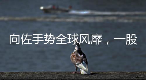 向佐手勢(shì)全球風(fēng)靡，一股新的文化潮流正在崛起