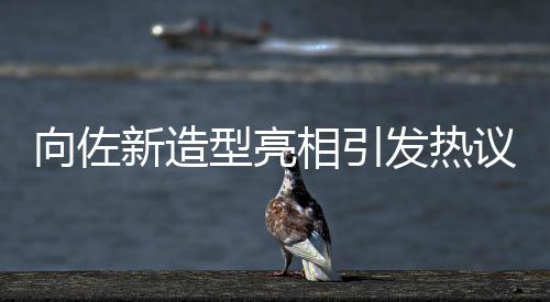 向佐新造型亮相引發(fā)熱議，網(wǎng)友戲稱佐姐潮流新風(fēng)尚