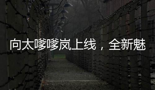 向太嗲嗲嵐上線，全新魅力展現(xiàn)，引領(lǐng)時(shí)尚潮流