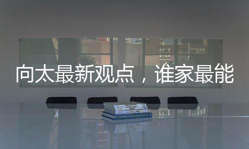 向太最新觀點，誰家最能干的就是最倒霉的——探討社會競爭下的命運百態(tài)與自省之心