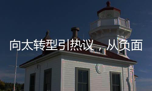 向太轉(zhuǎn)型引熱議，從負(fù)面評(píng)價(jià)到繁花群聚的新征程