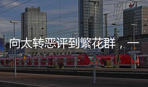 向太轉(zhuǎn)惡評(píng)到繁花群，一場(chǎng)互聯(lián)網(wǎng)時(shí)代的口碑逆襲之戰(zhàn)