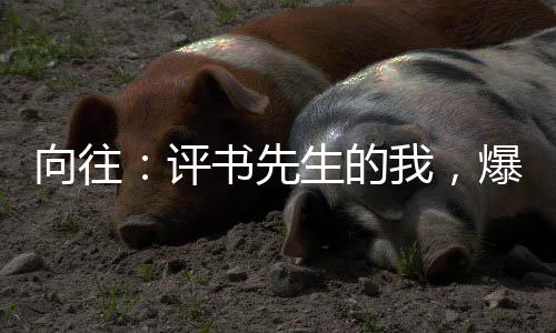 向往：評(píng)書(shū)先生的我，爆火全網(wǎng)！