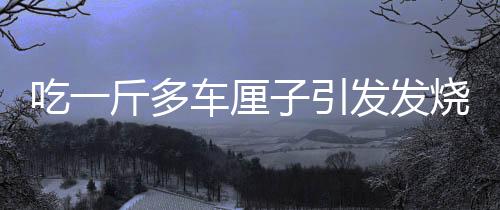 吃一斤多車?yán)遄右l(fā)發(fā)燒事件，健康飲食的重要性與合理食用水果的警示