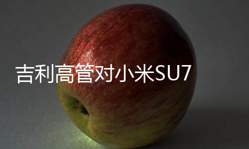吉利高管對小米SU7 Ultra超速表現(xiàn)進(jìn)行點(diǎn)評