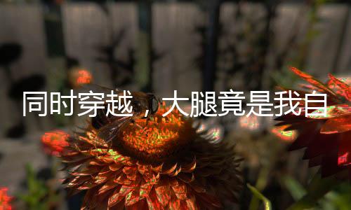 同時(shí)穿越，大腿竟是我自己