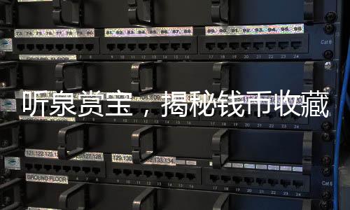 聽泉賞寶，揭秘錢幣收藏中的奧秘與挑戰(zhàn)