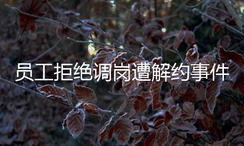 員工拒絕調(diào)崗遭解約事件，深度解析與反思