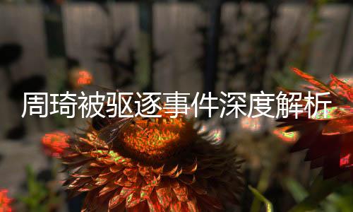 周琦被驅逐事件深度解析