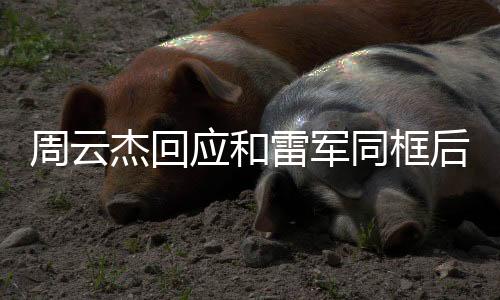 周云杰回應(yīng)和雷軍同框后走紅，科技大佬的魅力與影響力