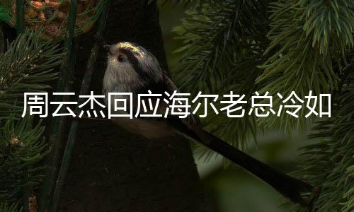 周云杰回應(yīng)海爾老總冷如冰箱，一場關(guān)于企業(yè)領(lǐng)導(dǎo)風(fēng)格的深度探討