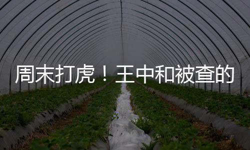 周末打虎！王中和被查的深度分析與觀察
