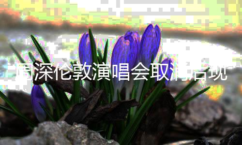 周深倫敦演唱會(huì)取消后現(xiàn)身致歉，歌迷理解與諒解的橋梁