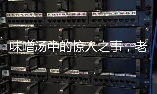 味噌湯中的驚人之事，老鼠尸體意外發(fā)現(xiàn)，食品安全再敲警鐘