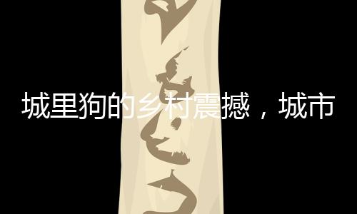 城里狗的鄉(xiāng)村震撼，城市與鄉(xiāng)村間的別樣體驗(yàn)