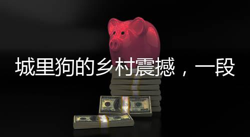 城里狗的鄉(xiāng)村震撼，一段走進(jìn)自然的全新體驗之旅