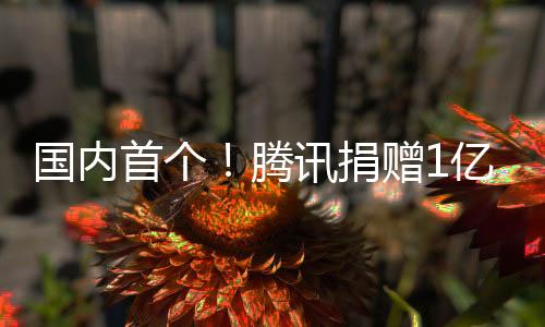 國內(nèi)首個(gè)！騰訊捐贈(zèng)1億元 讓文物真正“活”過來