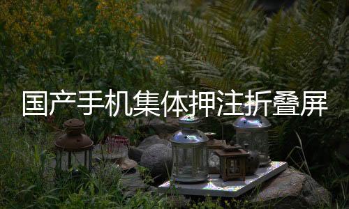 國產(chǎn)手機集體押注折疊屏，路走對了嗎？