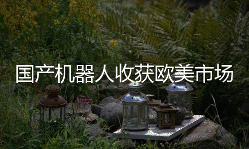 國產(chǎn)機器人收獲歐美市場，崛起的科技力量