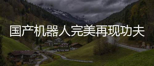 國產(chǎn)機(jī)器人完美再現(xiàn)功夫經(jīng)典舞蹈動作，科技與藝術(shù)的融合展現(xiàn)無盡魅力