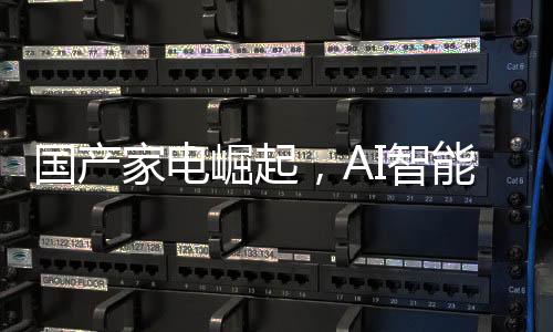 國(guó)產(chǎn)家電崛起，AI智能成為頂流，站在行業(yè)C位引領(lǐng)未來(lái)